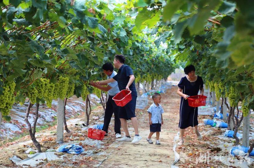 新澳门天天彩资料大全2025年资料